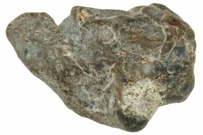 Lunar Meteorite ( g) - Laayoune #313130